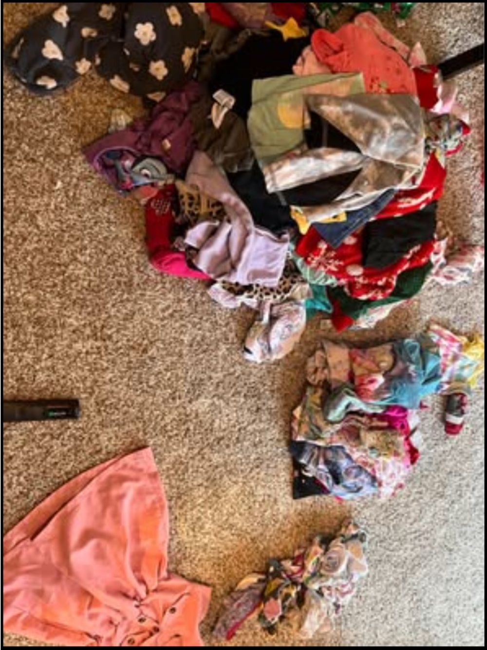 Toddler Girls 3/4 Bundle